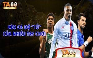 Kèo cá độ “ tủ” của nhiều tay chơi